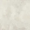 Noci blanc